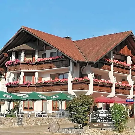 Schwarzenbergs Traube Hotel Freiburg im Breisgau