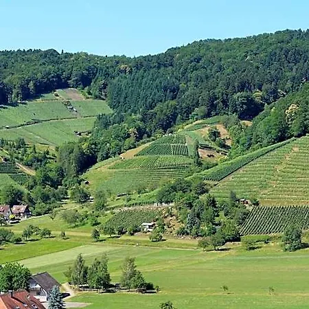 Schwarzenbergs Traube 4*