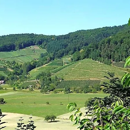 Schwarzenbergs Traube Freiburg im Breisgau