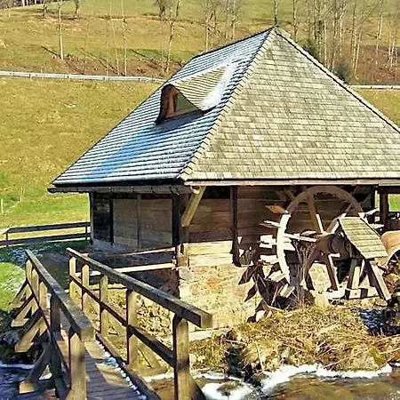 Schwarzenbergs Traube Hotel 4*