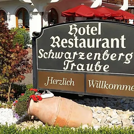 Schwarzenbergs Traube Freiburg im Breisgau