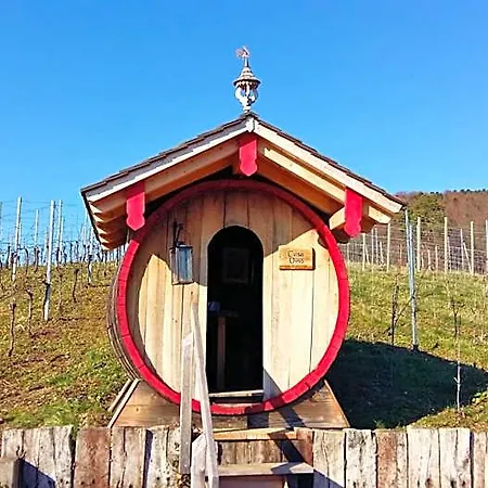 Hotel Schwarzenbergs Traube Freiburg im Breisgau