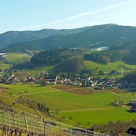 Schwarzenbergs Traube 4* Freiburg im Breisgau